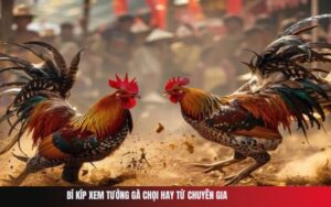 Bí Kíp Xem Tướng Gà Chọi Hay Từ Chuyên Gia