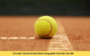Cá cược Tennis Grand Slam cùng phân tích kèo chi tiết
