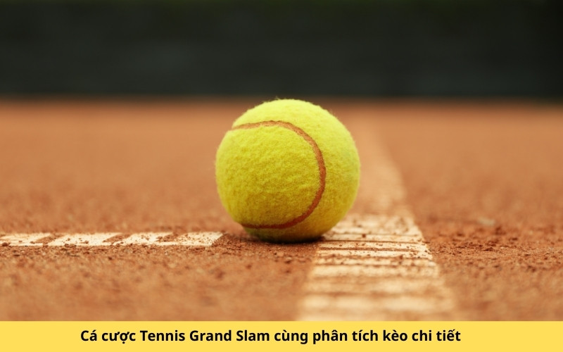 Cá cược Tennis Grand Slam cùng phân tích kèo chi tiết